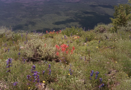 Colorado Western Slope